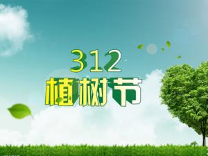 植樹節來啦！趕緊把這些植物抱回家吧！