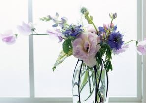 養眼又助運 不同空間鮮花擺放風水講究