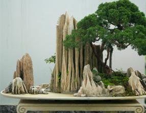 假山盆景風水禁忌  假山盆景作用